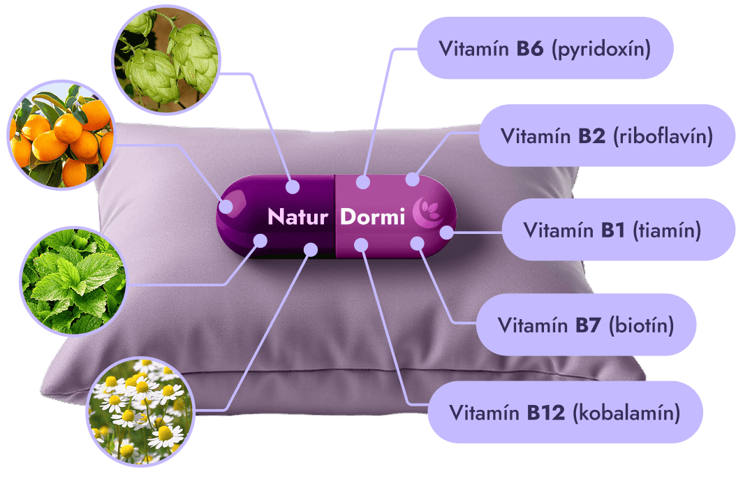 Vankúš s kapsulou NaturDormi® a ikonami vitamínov a bylín.